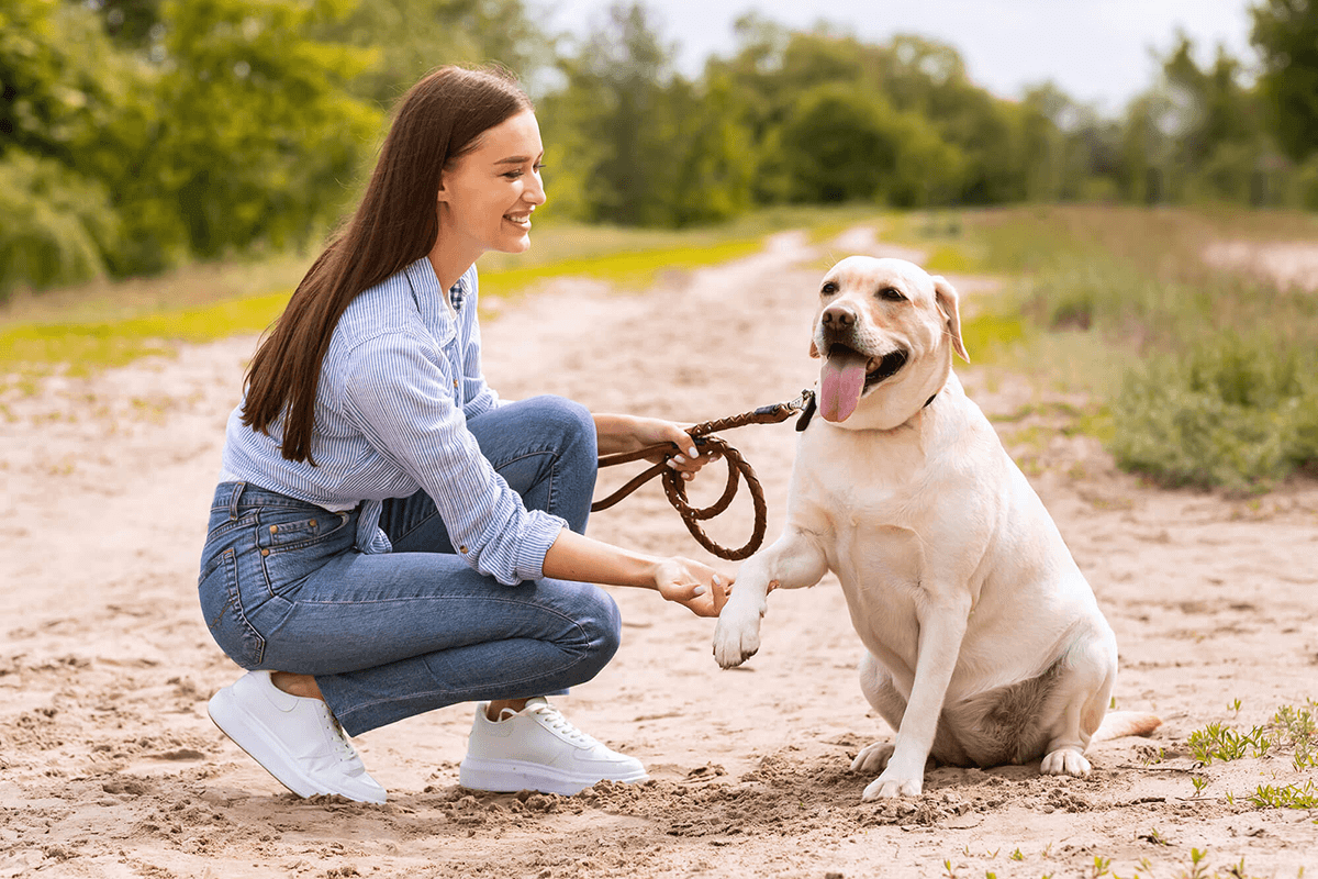 6 Tips to Keep Your Pet Healthy and Happy